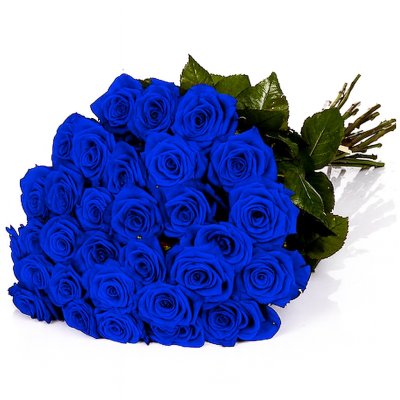 Blue Roses